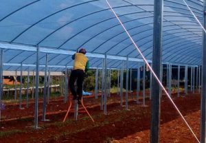 Instalação e Manutenção de Estufas Agricolas